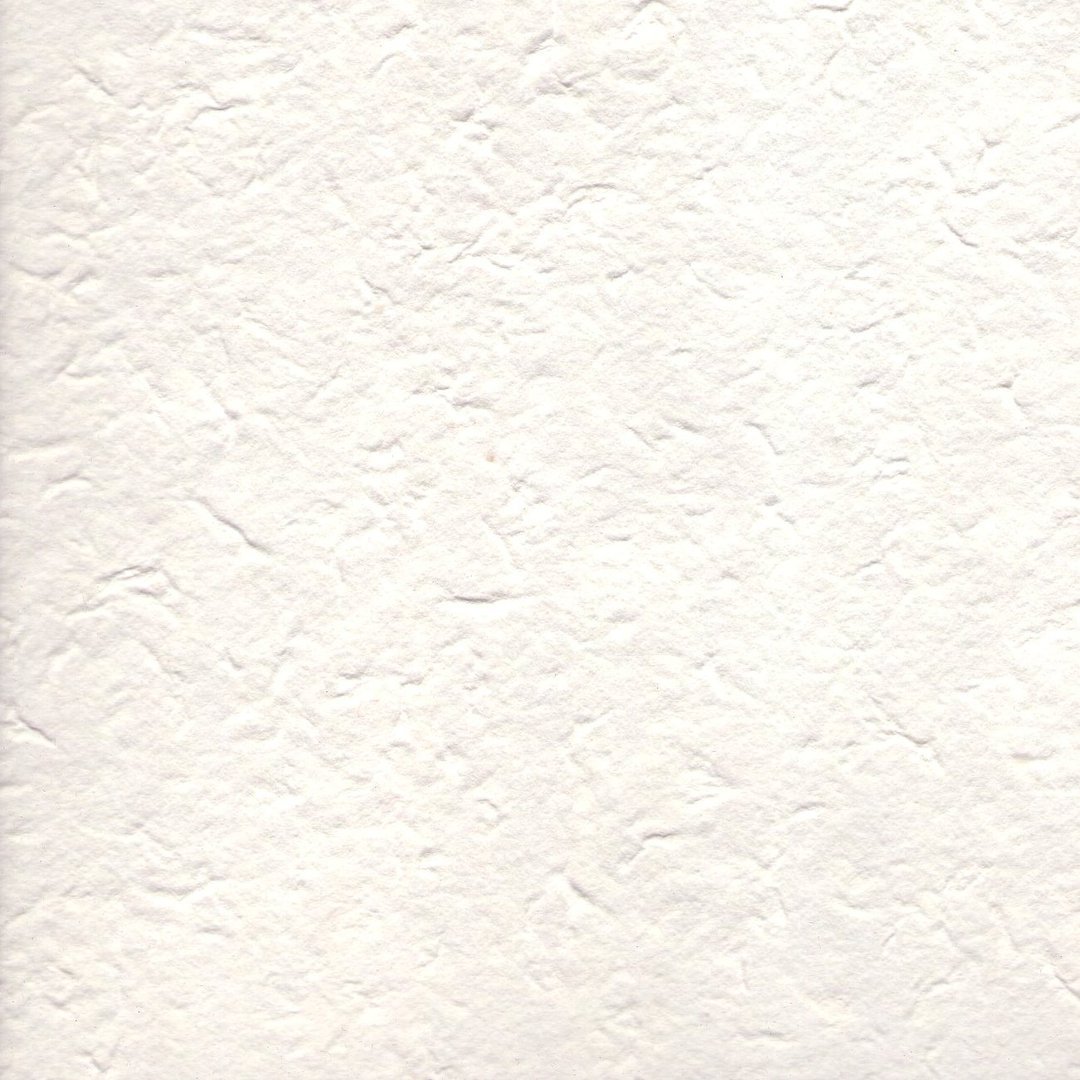 Maulbeerbaumpapier 80g/qm 50 x 70 cm handgeschöpftes Naturpapier geprägt Blüten 